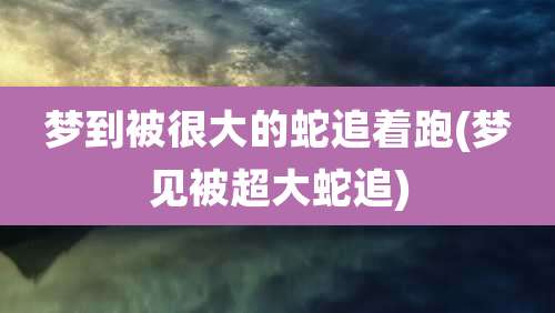 梦到被很大的蛇追着跑(梦见被超大蛇追)