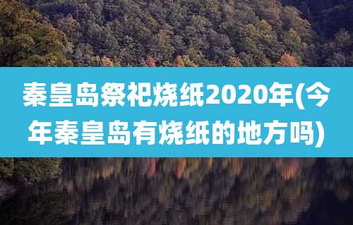秦皇岛祭祀烧纸2020年(今年秦皇岛有烧纸的地方吗)
