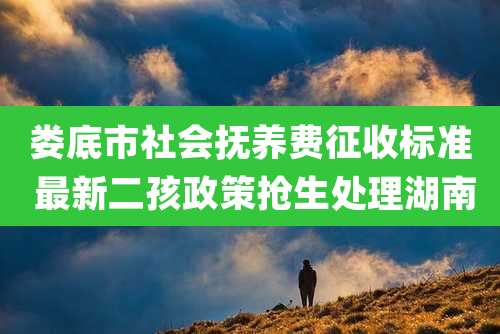 娄底市社会抚养费征收标准 最新二孩政策抢生处理湖南