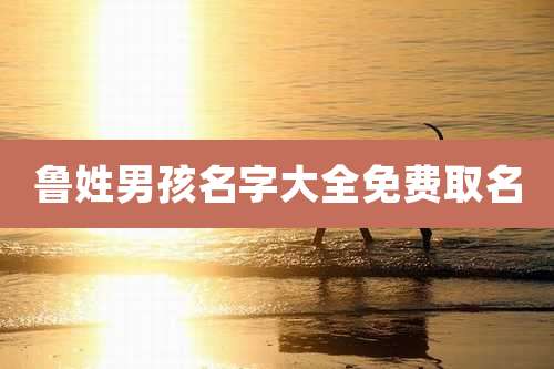 鲁姓男孩名字大全免费取名