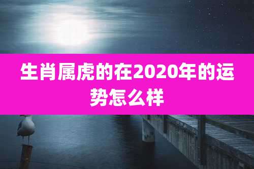 生肖属虎的在2020年的运势怎么样