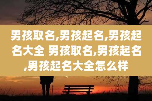 男孩取名,男孩起名,男孩起名大全 男孩取名,男孩起名,男孩起名大全怎么样