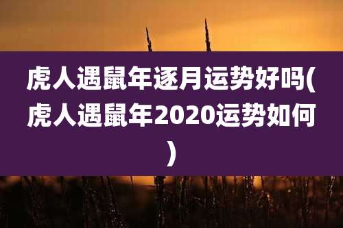 虎人遇鼠年逐月运势好吗(虎人遇鼠年2020运势如何)