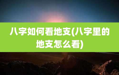 八字如何看地支(八字里的地支怎么看)