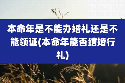 本命年是不能办婚礼还是不能领证(本命年能否结婚行礼)