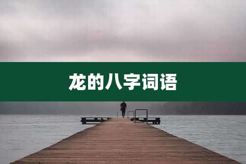 龙的八字词语
