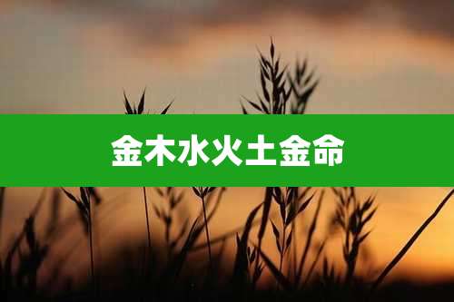 金木水火土金命