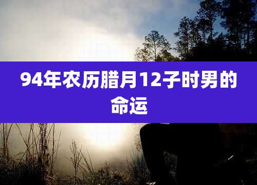94年农历腊月12子时男的命运