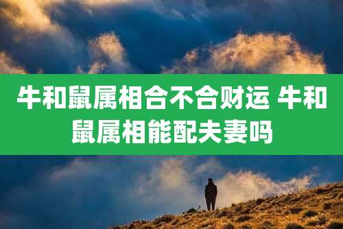 牛和鼠属相合不合财运 牛和鼠属相能配夫妻吗