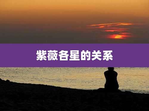 紫薇各星的关系