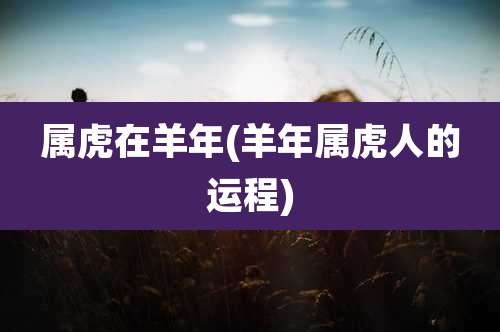 属虎在羊年(羊年属虎人的运程)