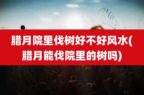 腊月院里伐树好不好风水(腊月能伐院里的树吗)