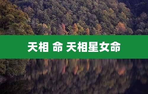 天相 命 天相星女命