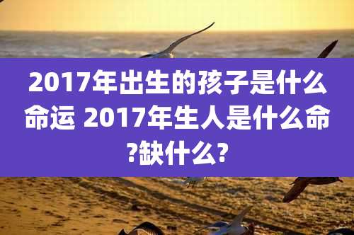 2017年出生的孩子是什么命运 2017年生人是什么命?缺什么?