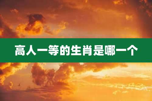 高人一等的生肖是哪一个