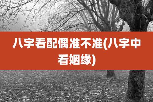 八字看配偶准不准(八字中看姻缘)