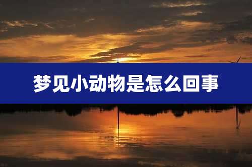 梦见小动物是怎么回事
