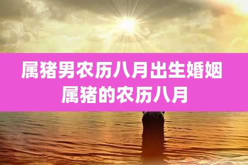 属猪男农历八月出生婚姻 属猪的农历八月