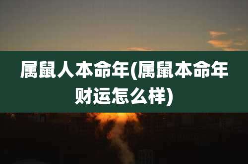 属鼠人本命年(属鼠本命年财运怎么样)