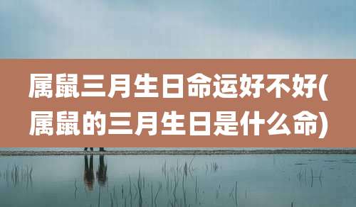 属鼠三月生日命运好不好(属鼠的三月生日是什么命)
