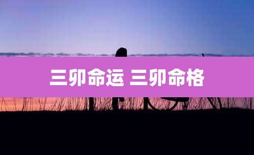 三卯命运 三卯命格