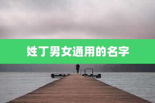 姓丁男女通用的名字