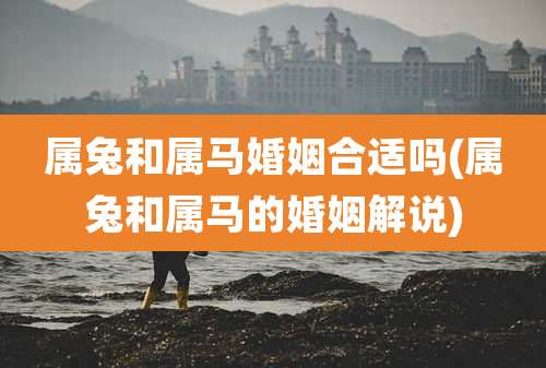 属兔和属马婚姻合适吗(属兔和属马的婚姻解说)