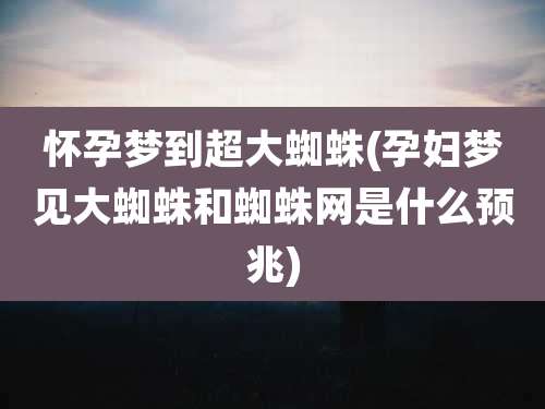 怀孕梦到超大蜘蛛(孕妇梦见大蜘蛛和蜘蛛网是什么预兆)