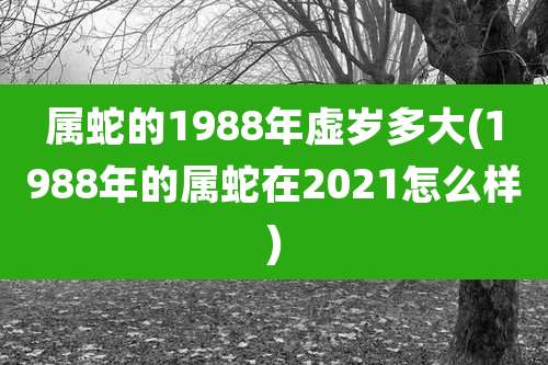属蛇的1988年虚岁多大(1988年的属蛇在2021怎么样)