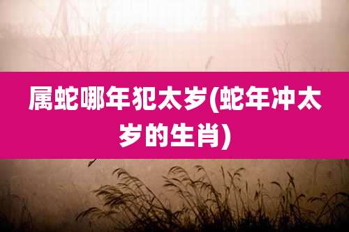 属蛇哪年犯太岁(蛇年冲太岁的生肖)