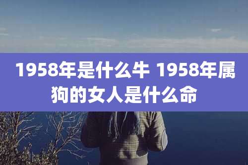 1958年是什么牛 1958年属狗的女人是什么命