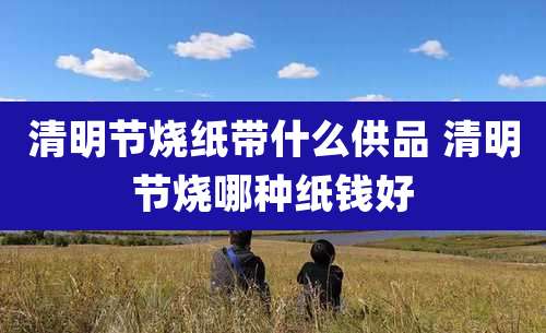 清明节烧纸带什么供品 清明节烧哪种纸钱好