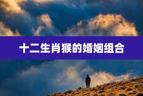 十二生肖猴的婚姻组合