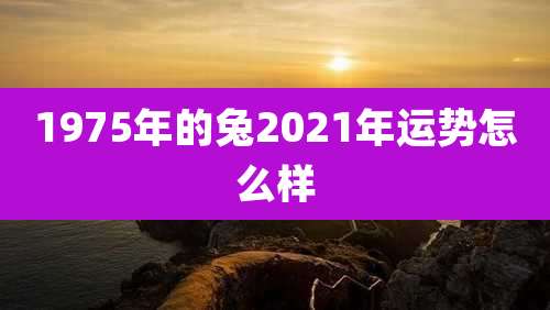 1975年的兔2021年运势怎么样