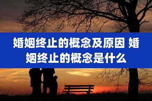 婚姻终止的概念及原因 婚姻终止的概念是什么