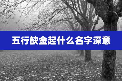 五行缺金起什么名字深意