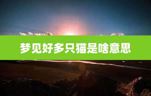 梦见好多只猫是啥意思