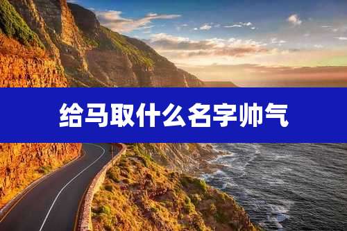 给马取什么名字帅气