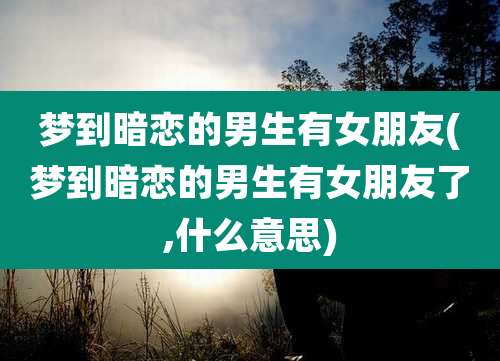 梦到暗恋的男生有女朋友(梦到暗恋的男生有女朋友了,什么意思)