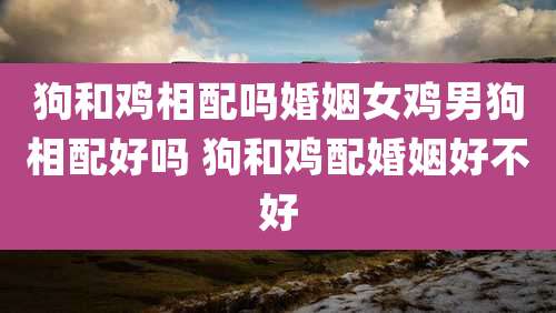 狗和鸡相配吗婚姻女鸡男狗相配好吗 狗和鸡配婚姻好不好