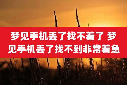 梦见手机丢了找不着了 梦见手机丢了找不到非常着急