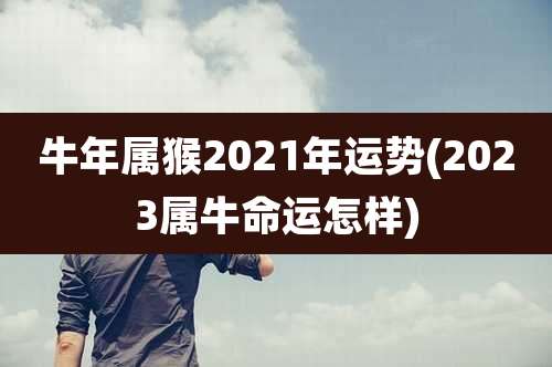 牛年属猴2021年运势(2023属牛命运怎样)