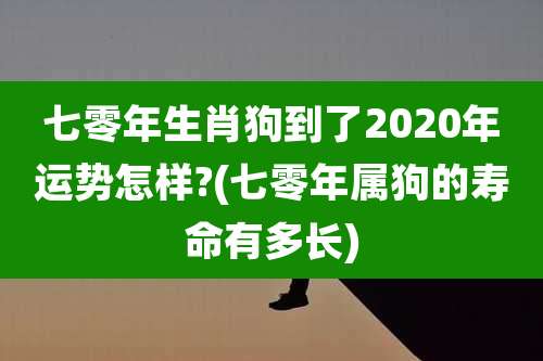 七零年生肖狗到了2020年运势怎样?(七零年属狗的寿命有多长)