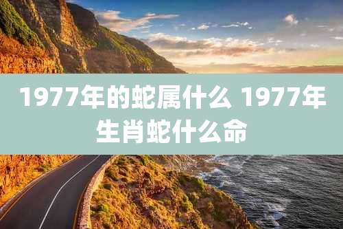 1977年的蛇属什么 1977年生肖蛇什么命