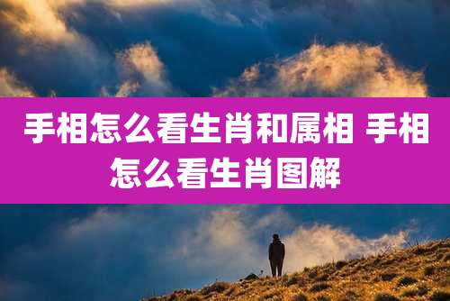 手相怎么看生肖和属相 手相怎么看生肖图解