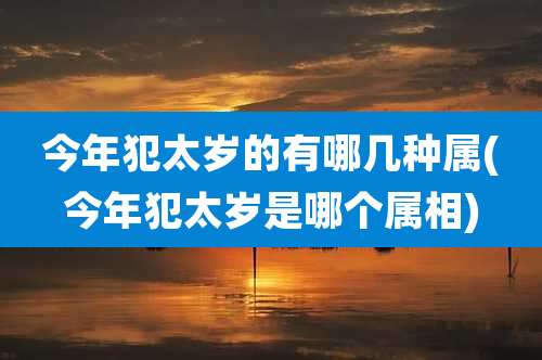 今年犯太岁的有哪几种属(今年犯太岁是哪个属相)