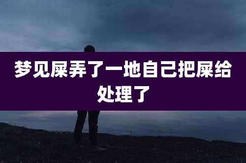 梦见屎弄了一地自己把屎给处理了