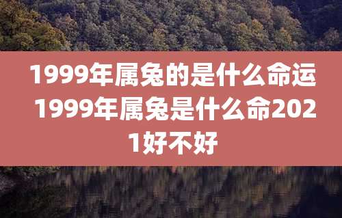 1999年属兔的是什么命运 1999年属兔是什么命2021好不好