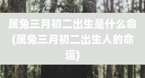 属兔三月初二出生是什么命(属兔三月初二出生人的命运)