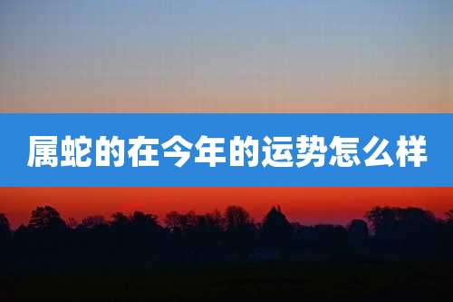 属蛇的在今年的运势怎么样